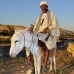 bank_west_lux_v_0005_egy2566.jpg